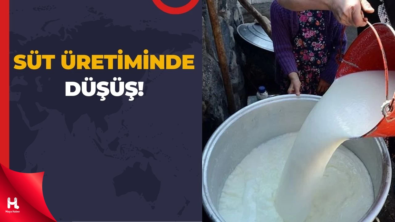 Süt Üretimi Azaldı, Tereyağı Arttı