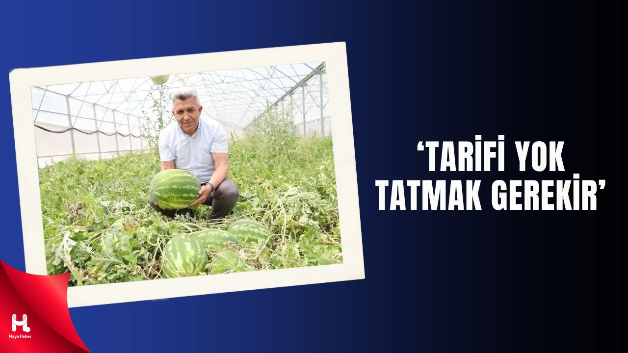 Kandıra Karpuzunun Hasat Şöleni Başladı!