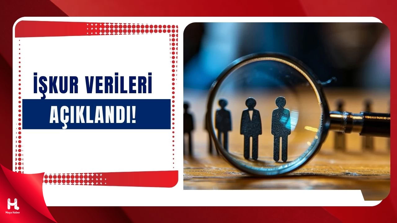 2025'in İlk Yarısında En Çok İstihdam Edilen Meslekler Belli Oldu!