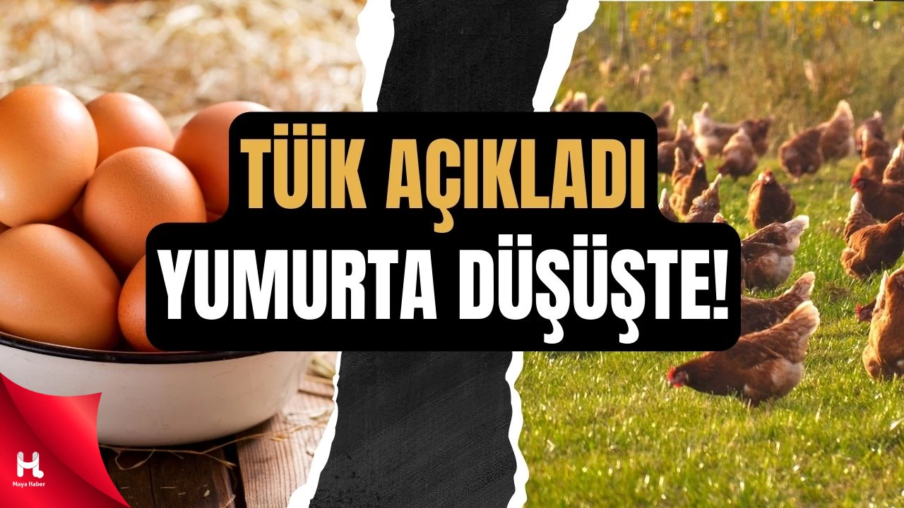 Et Yükseldi, Yumurta Üretimi Düştü!