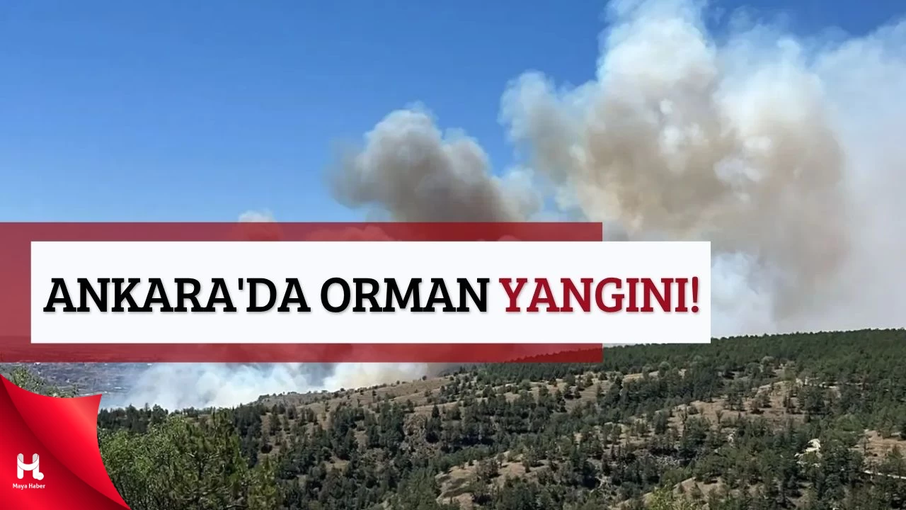 ODTÜ Yakınlarında Dumanlar Yükseldi