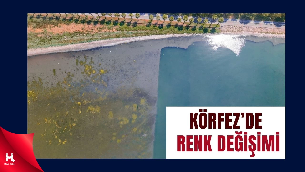 Temizlik Projesi Körfez’in Rengini Değiştirdi