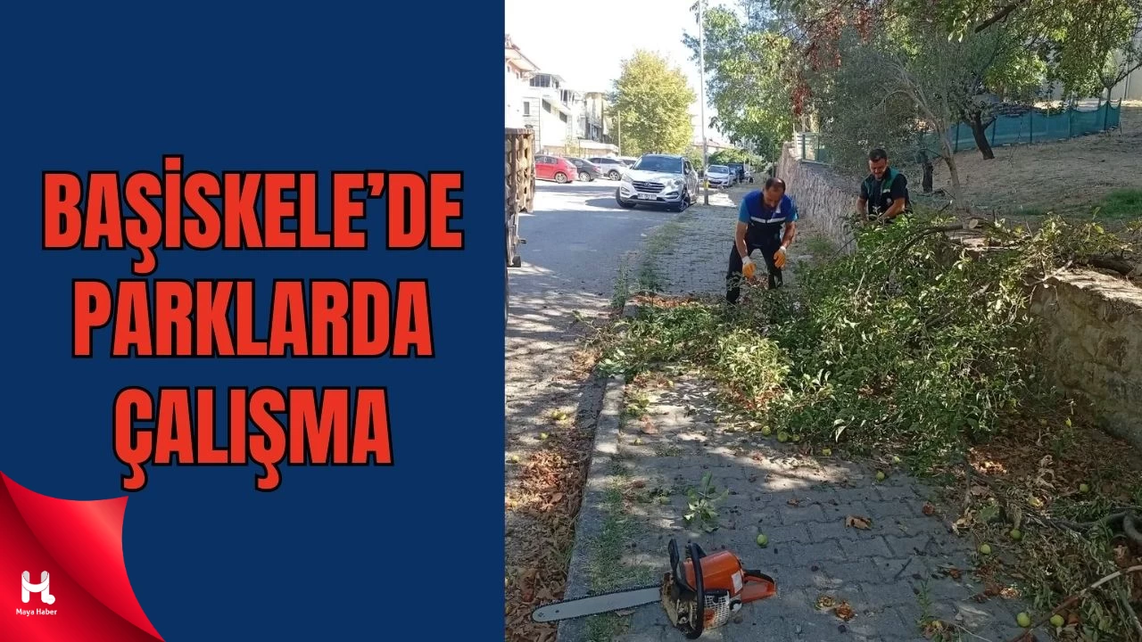 Başiskele’de Ağaç Budama ve Bakım Çalışmaları Sürüyor