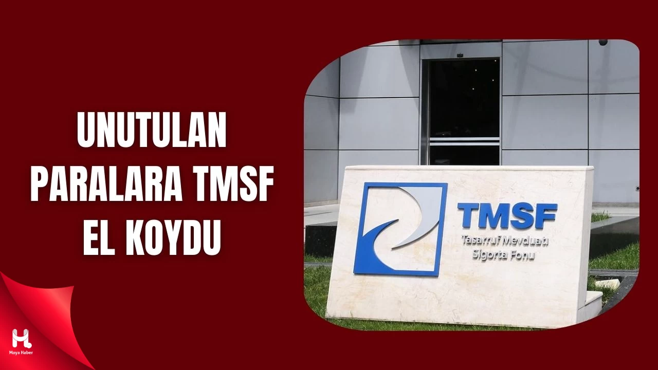 Bankalarda Unutulan Paralar TMSF'ye Aktarıldı