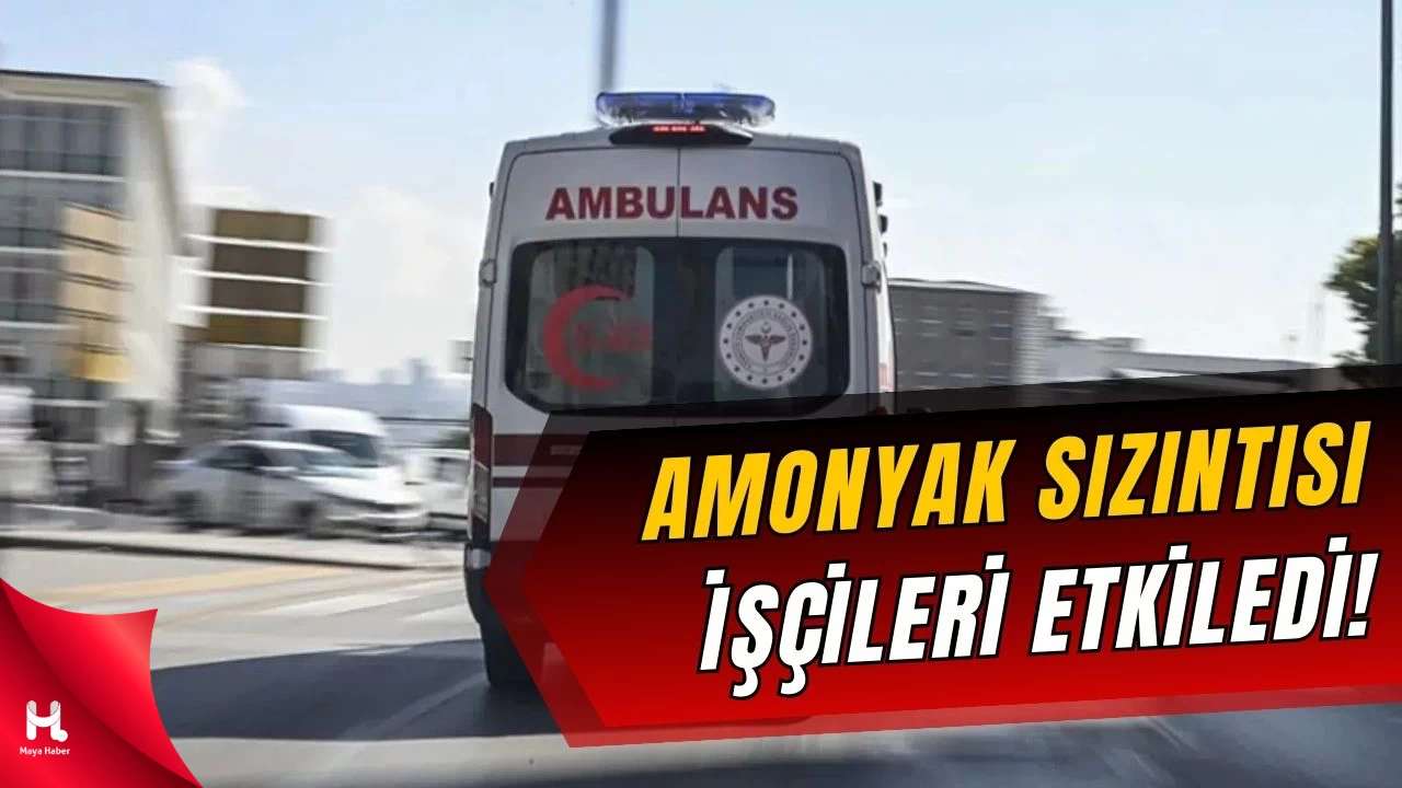 Amonyak Gazı Sızıntısı: 5 İşçi Hastaneye Kaldırıldı