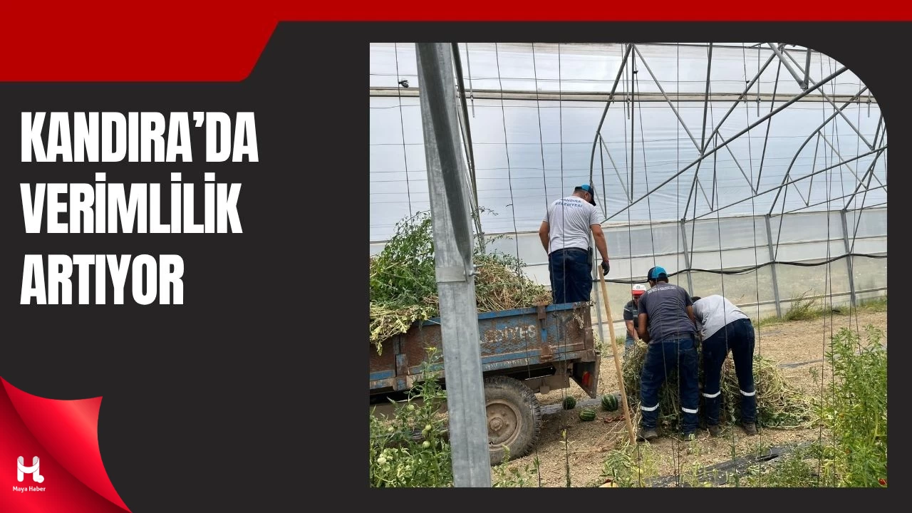 Kandıra Belediyesi Seracılıkla Üretime Güç Katıyor