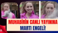 Kadın Muhabir Canlı Yayında Martı Saldırısına Uğradı