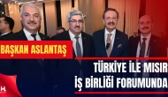 Başkan Aslantaş, Türkiye ile Mısır İş Birliği Forumuna Katıldı