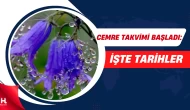 Cemreler Ne Zaman Düşecek? Baharın Müjdesi Yaklaşıyor