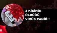 ABD’de Gemide Hantavirüs Alarmı: Belirtileri Merak Ediliyor