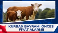 2026 Kurbanlık Fiyatları Belli Oluyor: Büyükbaş ve Küçükbaşta Son Durum