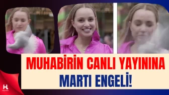 Kadın Muhabir Canlı Yayında Martı Saldırısına Uğradı