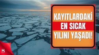 Bilim İnsanlarından Uyarı: Arktik Amplifikasyonu Hızlandı