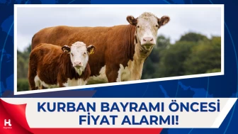 2026 Kurbanlık Fiyatları Belli Oluyor: Büyükbaş ve Küçükbaşta Son Durum