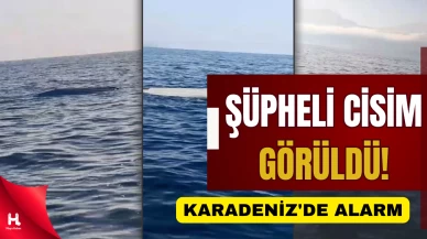 Karadeniz'de alarm: Artvin açıklarında da görüldü!