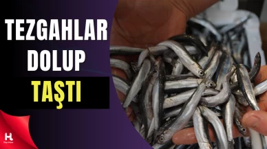 Tezgahlar Dolup Taştı: Fiyatlar Düştü, Kilosu 100 TL