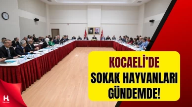 Vali Aktaş Başkanlığında Hayvan Hakları Masaya Yatırıldı