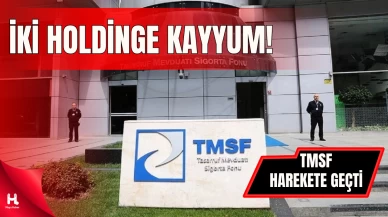 Dev Holdinge El Konuldu: TMSF Kayyum Olarak Atandı