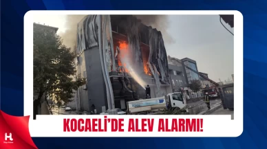 Kocaeli’nde Depo Yangını! Alevler Gökyüzünü Aydınlattı