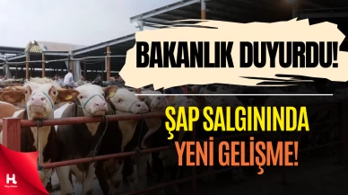 Tarım ve Orman Bakanlığı Şap Salgınıyla Mücadelede Son Durumu Açıkladı