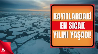 Bilim İnsanlarından Uyarı: Arktik Amplifikasyonu Hızlandı