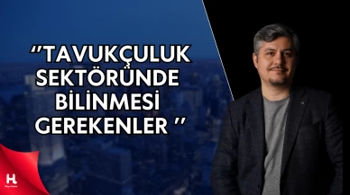 Tavuk Fiyatları Neden Uçuyor? Erkan Filiz, Sektördeki Büyük Gerçeği Açıkladı!