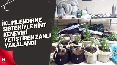 İklimlendirme sistemiyle Hint keneviri yetiştiren zanlı yakalandı
