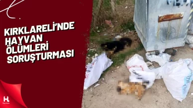 Kırklareli'nde Hayvan Ölümleri Soruşturması