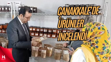 Demirhan Ayvacık'ta Tarım İncelemeleri Yaptı