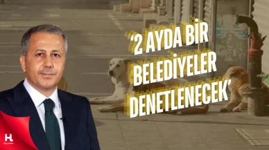 Bakan Yerlikaya’dan Sokak Hayvanları Açıklaması