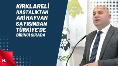 Kırklareli Hastalıktan Ari Hayvan Sayısından Türkiye’de İlk Sırada