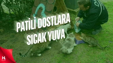 Balıkesir’de Patili Dostlara Sıcak Yuva