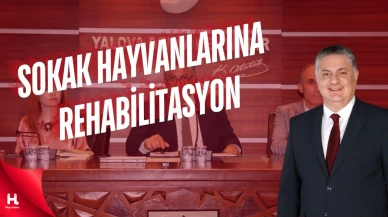 Sokak Hayvanlarına Rehabilitasyon Merkezi