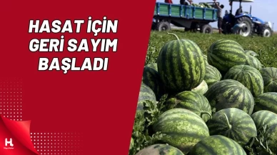 Adana'da Hasat İçin Geri Sayım Başladı