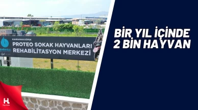 Proteo Sokak Hayvanları Rehabilitasyon Merkezi Büyüyecek