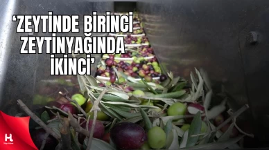 'Sofralık Zeytinde Dünya Birincisi, Zeytinyağında İkinci Olduk'