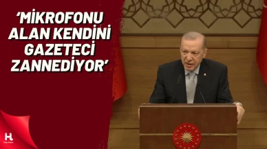 Cumhurbaşkanı Erdoğan'dan Sokak Röportajları Tepkisi