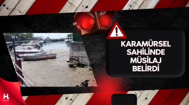 Karamürsel Sahili Müsilajla Kaplandı