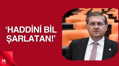 CHP'li Harun Özgür Yıldızlı’dan Eski Müftüye Sert Tepki