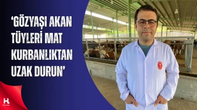 Kocaeli Veteriner Hekimler Odası Başkanı Uyardı