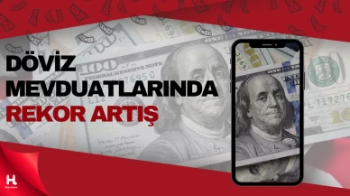 "Döviz Mevduatlarında Rekor Artış: Ekonomik Etkiler"
