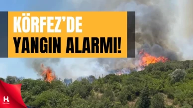 Körfez'de Ağaçlık Alandaki Yangına Hızlı Müdahale