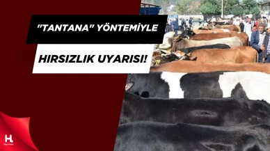 Kurban Pazarında Sahte Para ve Dolandırıcılık Alarmı!