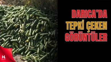 Darıca’da Yola Atılan Salatalıklar Tepki Topladı