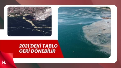 Marmara Denizi'nde Müsilaj Tehdidi!