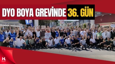 Akyüz’den DYO Boya Grevinde Dayanışma Mesajı