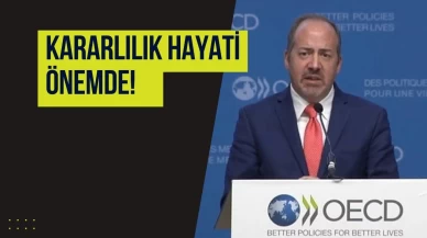 OECD Başekonomisti Alvaro Pereira'dan Türkiye Değerlendirmesi!
