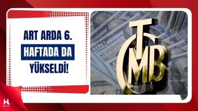 TCMB Rezervleri 159 Milyar Doları Aştı!