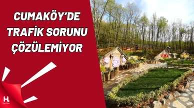 Cumaköy Mesire Alanı Eziyete Döndü: Otopark Sorunu Çözülmüyor