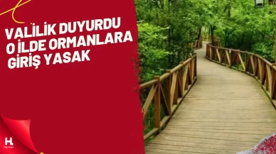 Samsun’da Ormanlara Giriş Yasaklandı